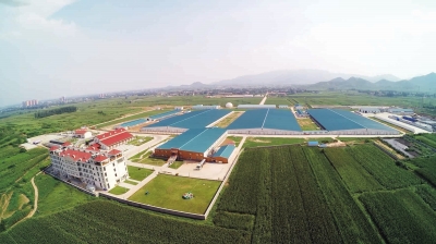 河北省石家庄市以园区建设引领农业高质量发展助力乡村振兴