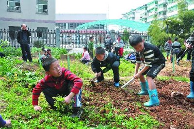 河北邱县为劳动教育“破题” 小手拉大手共建美丽庭院